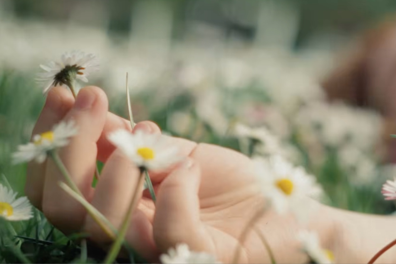 Someone's hand surrounded by daisies 