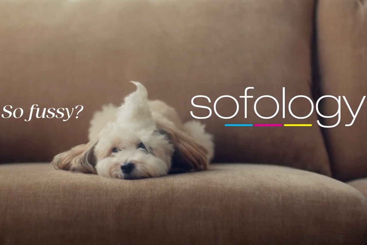 A little dog and the words "So fussy? Sofology" overlaid