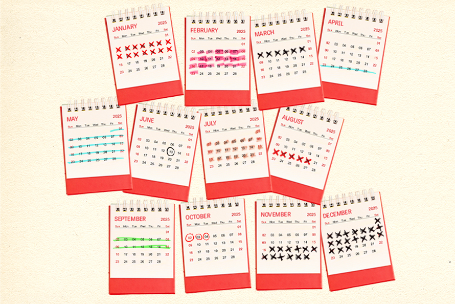An image of a calendar for 2025 showing different projects across the year