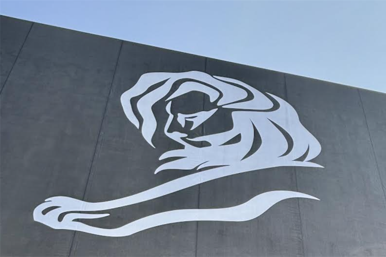 Hey, it's the Cannes Lions