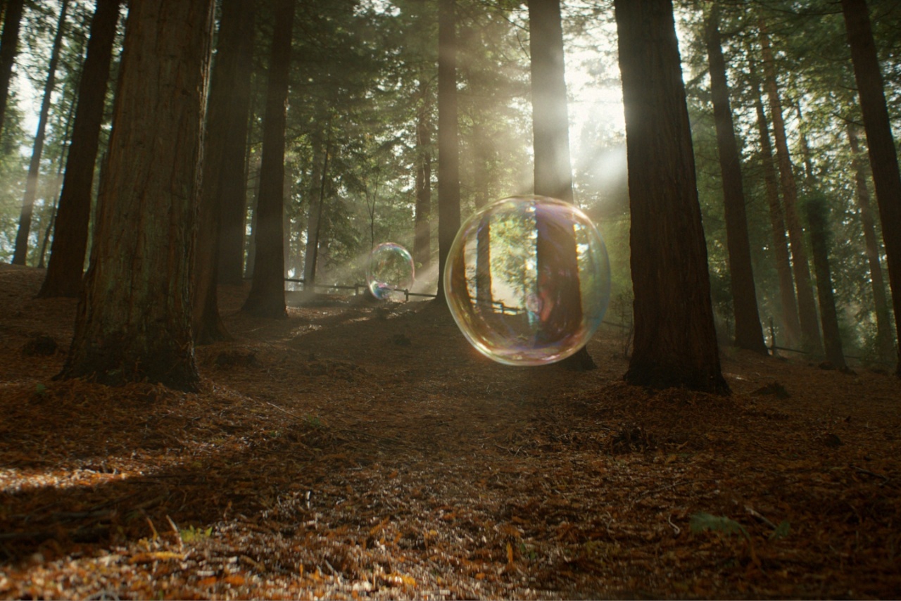 Bubbles in a woodland